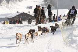 Lenk 2012 SM